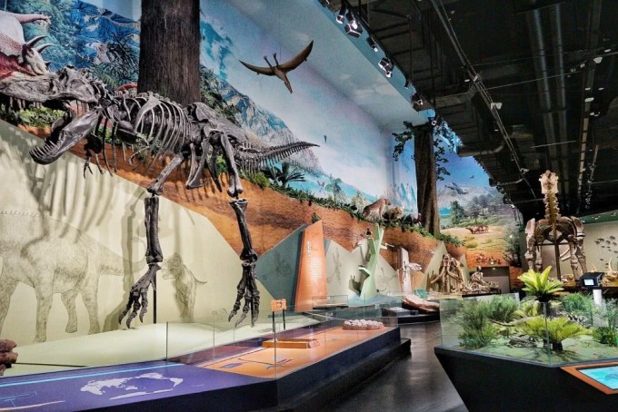 探秘地球心臟 柳州洞穴博物館，親子研學與自然科學的完美交融