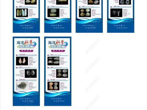 藍色海洋科普圖文展易拉寶展架設計 探索海洋奧秘，守護蔚藍家園